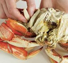 eating crab