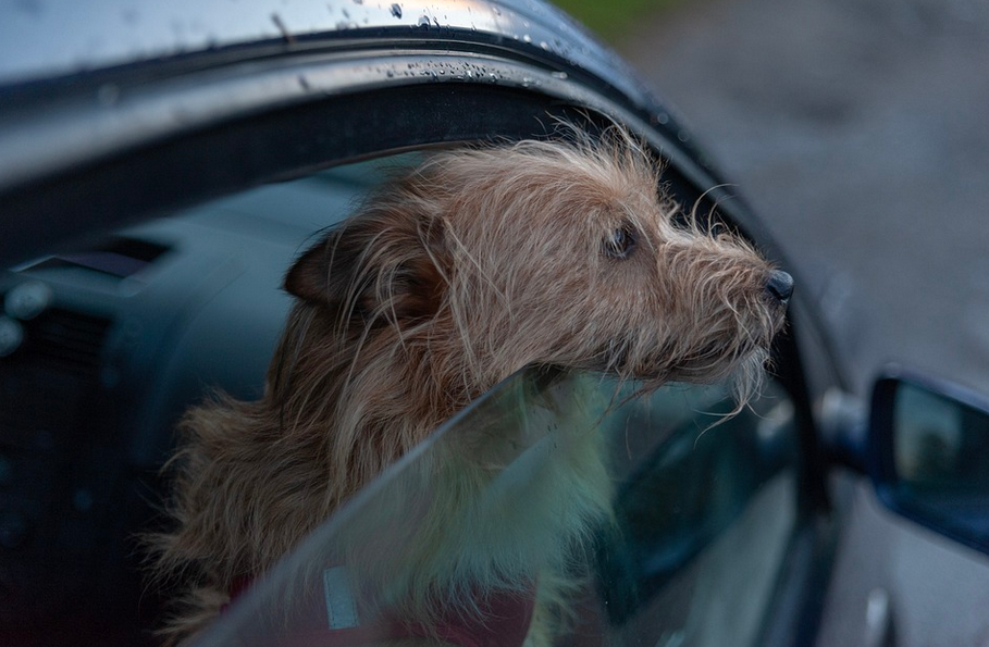road trip